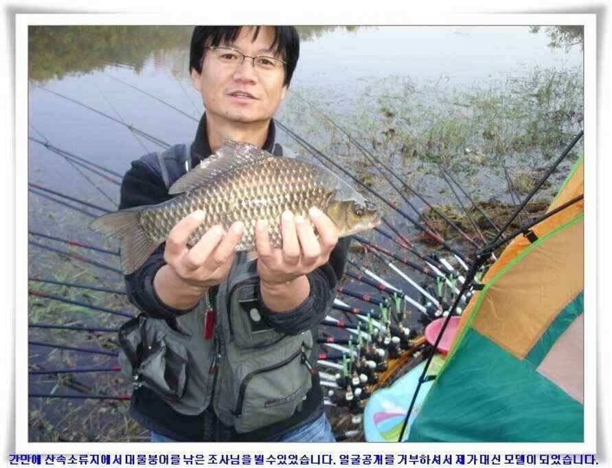멋진 대물붕어와 포인트들 (조황조행기 - 낚시점조황)
