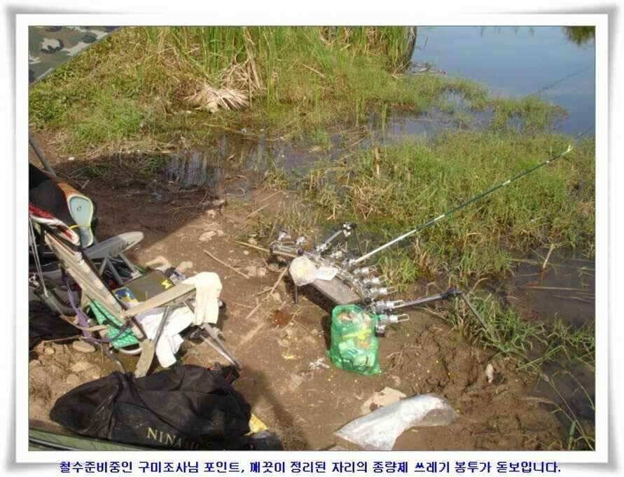 멋진 대물붕어와 포인트들 (조황조행기 - 낚시점조황)