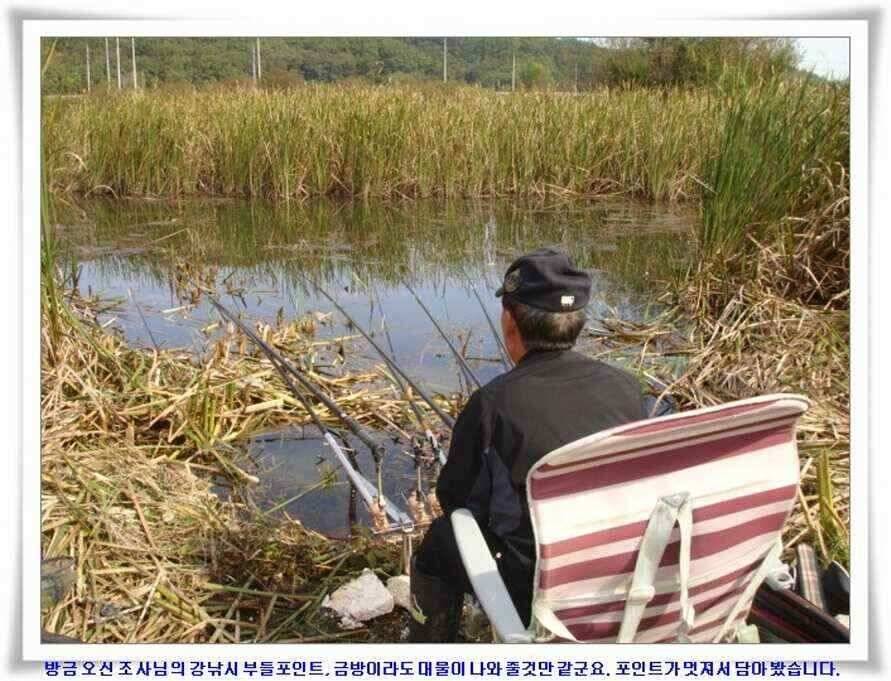 멋진 대물붕어와 포인트들 (조황조행기 - 낚시점조황)