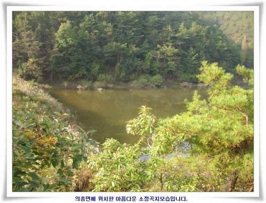 멋진 대물붕어와 포인트들 (조황조행기 - 낚시점조황)