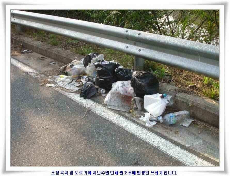 멋진 대물붕어와 포인트들 (조황조행기 - 낚시점조황)