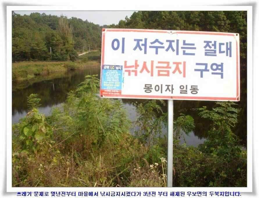 멋진 대물붕어와 포인트들 (조황조행기 - 낚시점조황)
