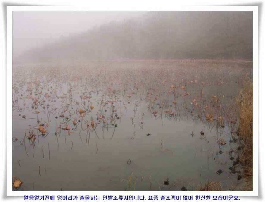 마지막 물낚시 준비하시지요 (조황조행기 - 낚시점조황)