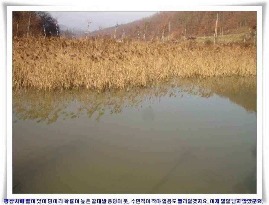 마지막 물낚시 준비하시지요 (조황조행기 - 낚시점조황)