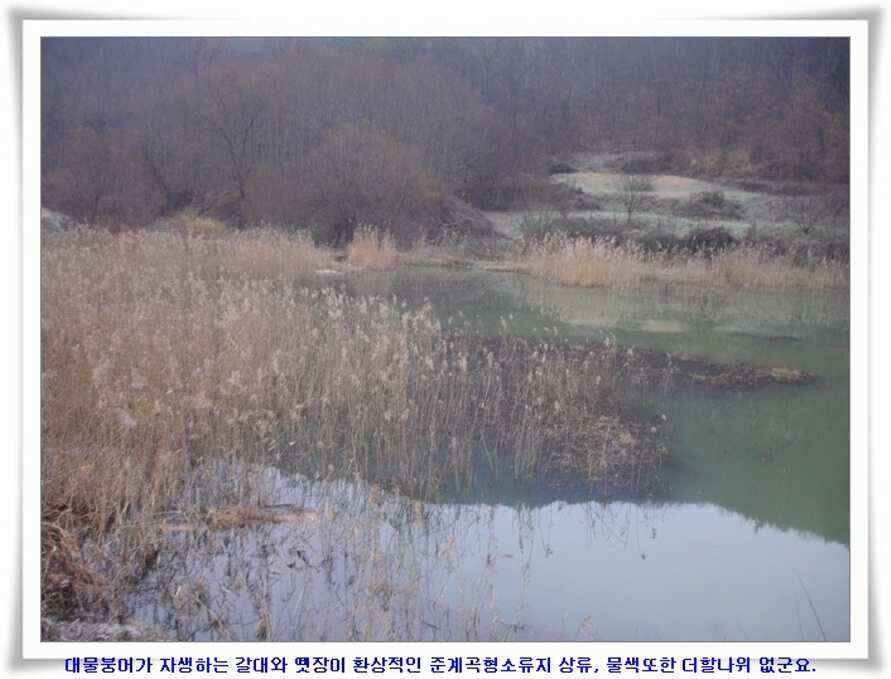 마지막 물낚시 준비하시지요 (조황조행기 - 낚시점조황)