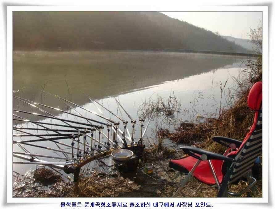 마지막 물낚시 준비하시지요 (조황조행기 - 낚시점조황)