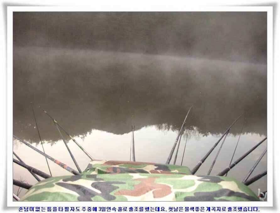 마지막 물낚시 준비하시지요 (조황조행기 - 낚시점조황)
