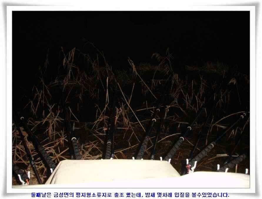 마지막 물낚시 준비하시지요 (조황조행기 - 낚시점조황)