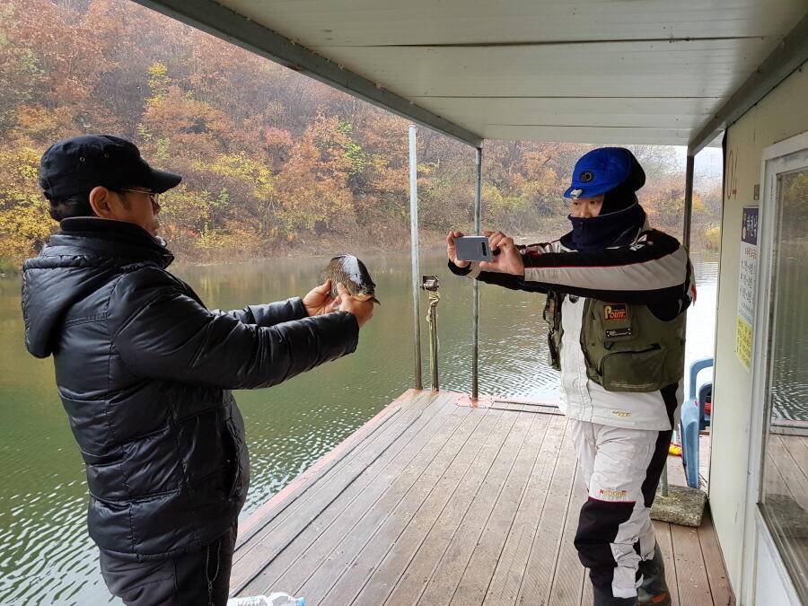 4짜와 월척들 (조황조행기 - 낚시점조황)