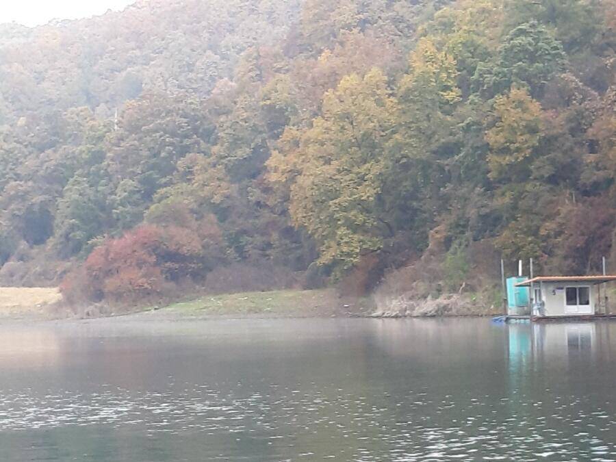 하천낚시터현황 (조황조행기 - 낚시점조황)