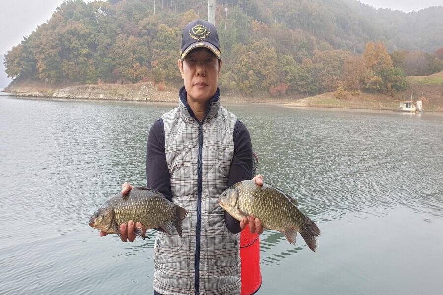 하천낚시터현황 (조황조행기 - 낚시점조황)