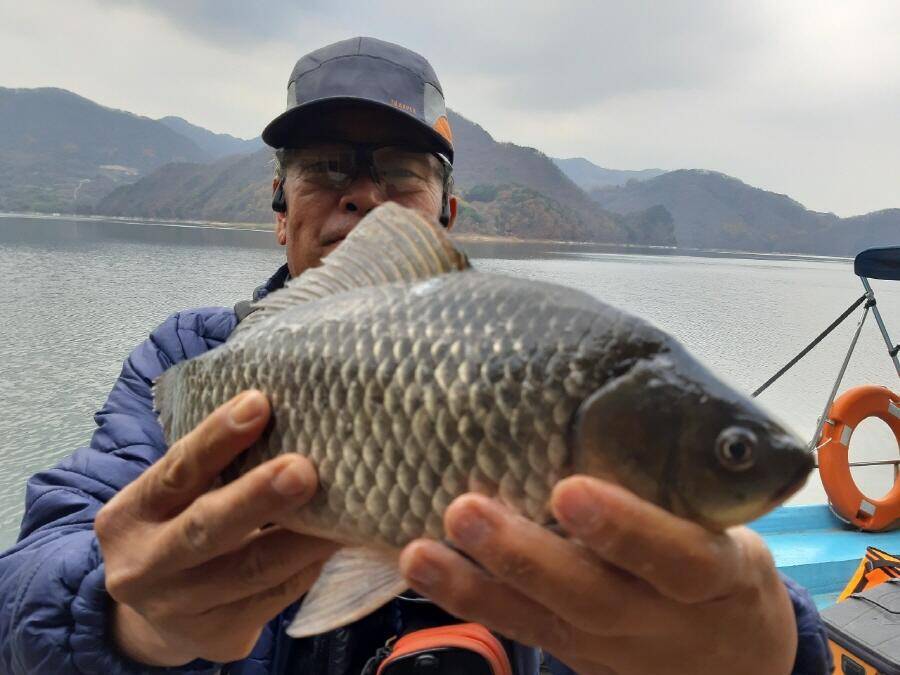 하천낚시터 현황 (조황조행기 - 낚시점조황)