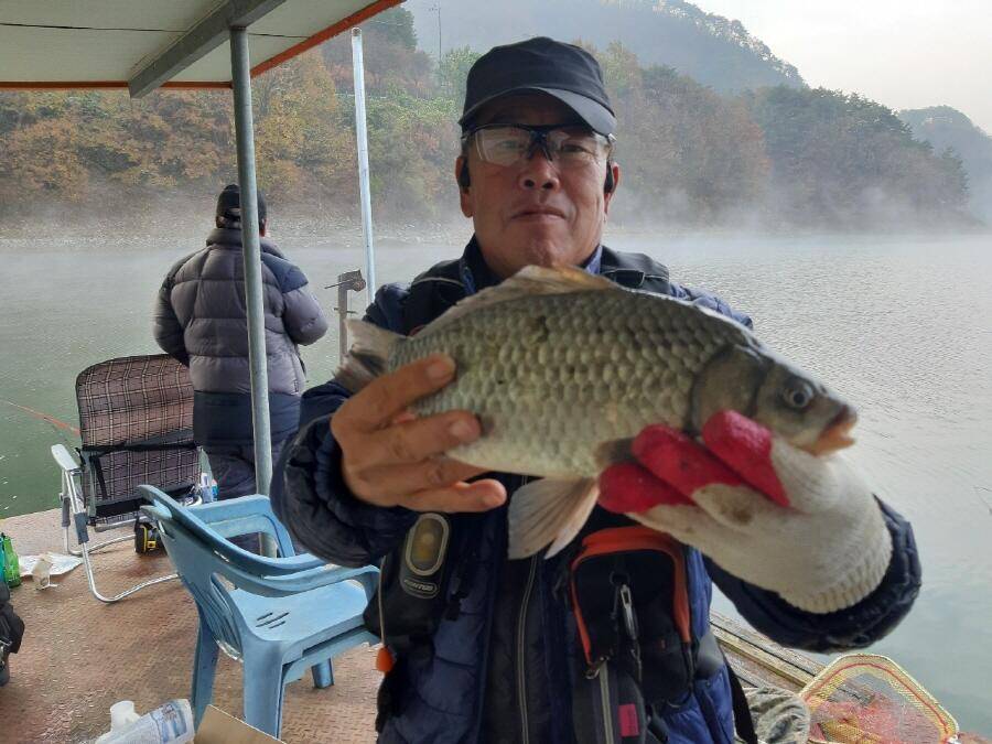 4짜와 월척들 (조황조행기 - 낚시점조황)