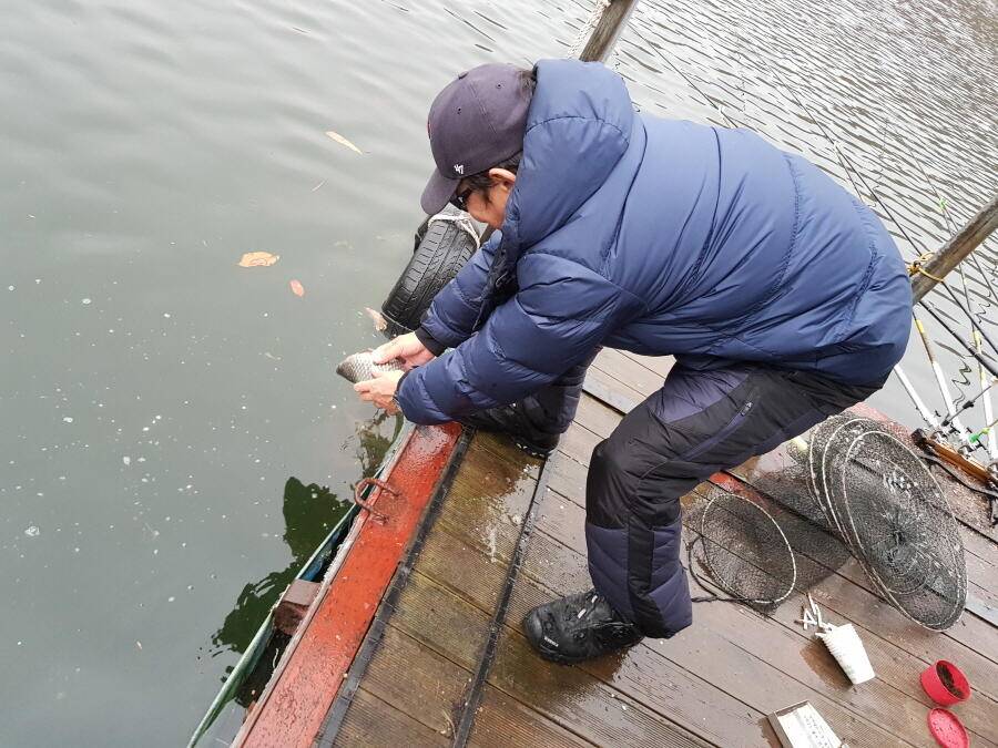 4짜와 월척들 (조황조행기 - 낚시점조황)