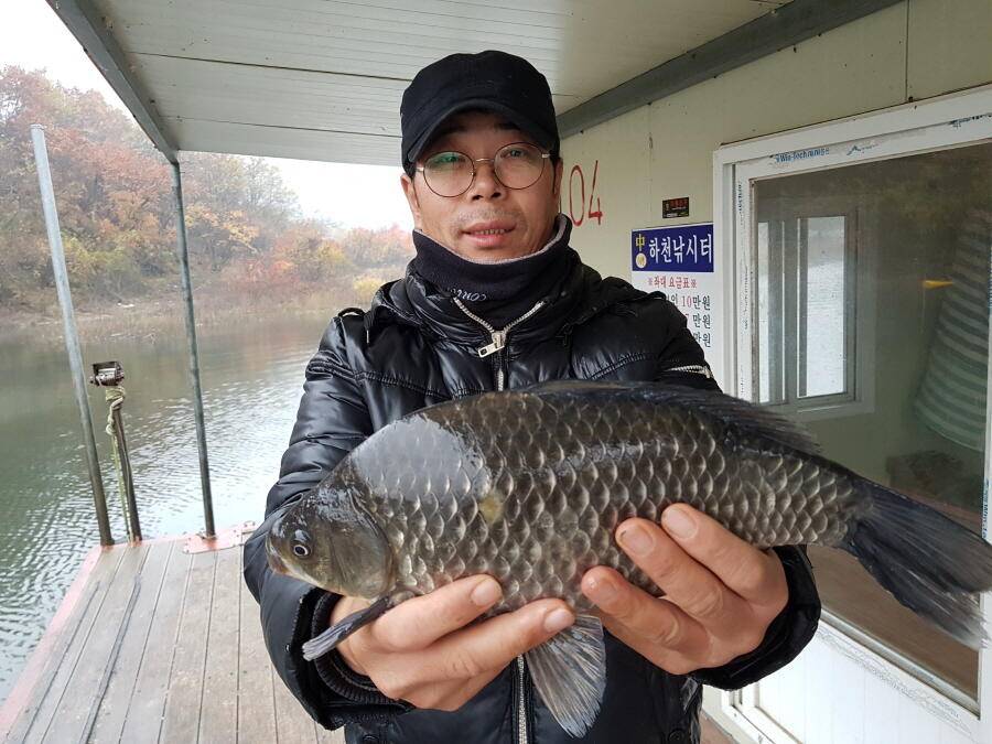 4짜와 월척들 (조황조행기 - 낚시점조황)