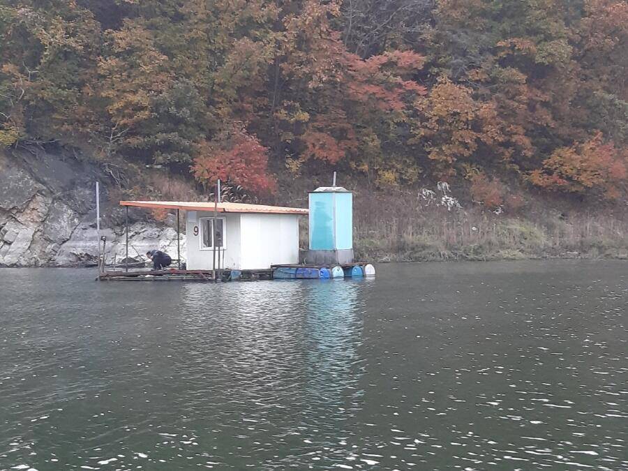 하천낚시터현황 (조황조행기 - 낚시점조황)