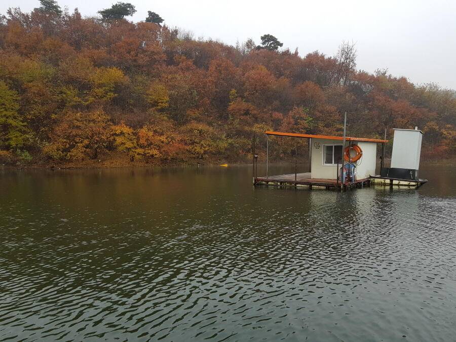 4짜와 월척들 (조황조행기 - 낚시점조황)
