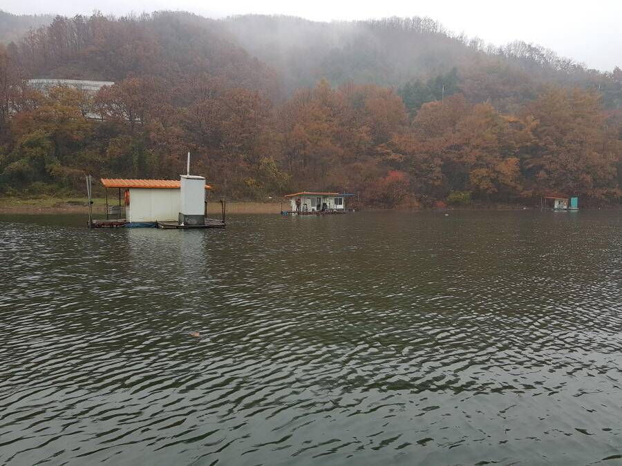 4짜와 월척들 (조황조행기 - 낚시점조황)