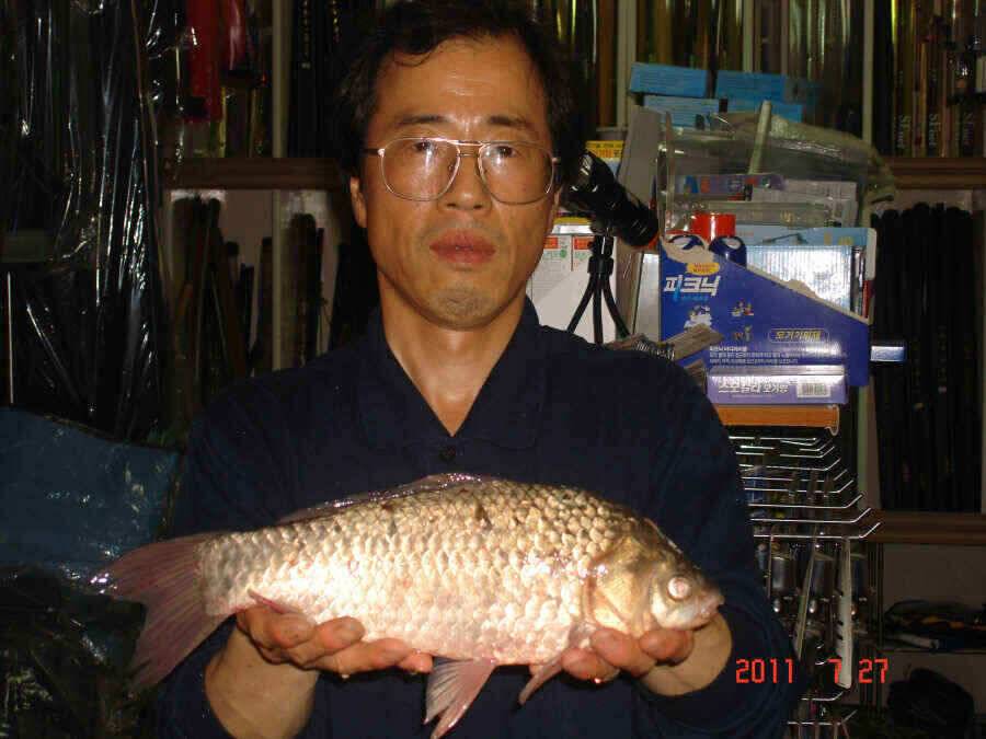 진위천 현제 상황과 가나의 짬낚조황 (조황조행기 - 낚시점조황)