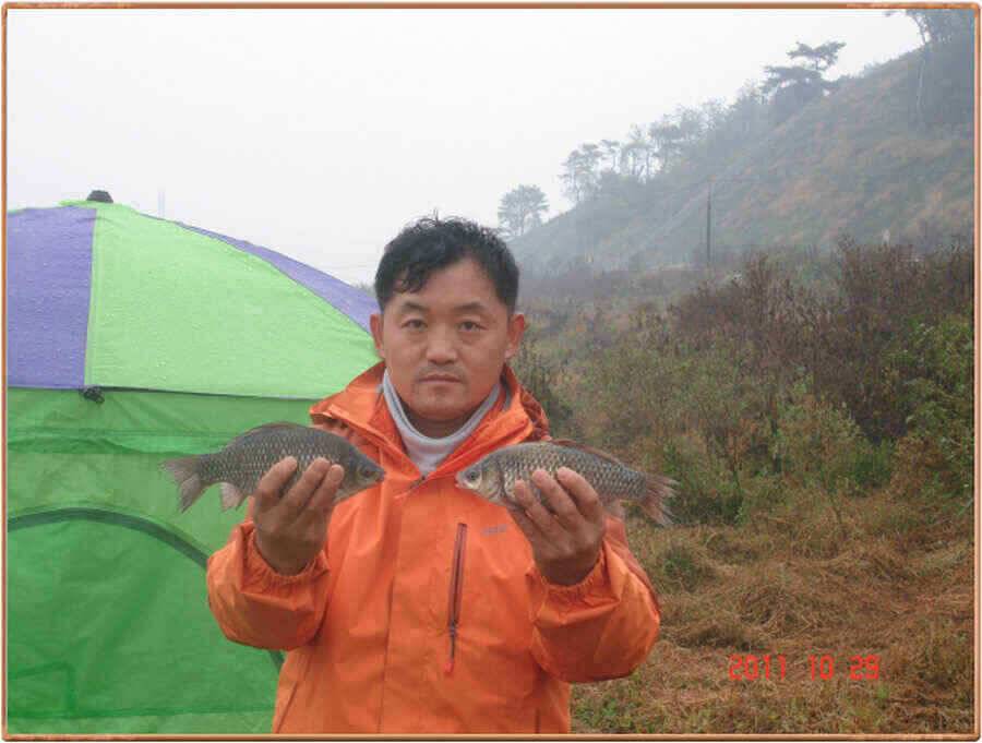 진위천의 가을 (조황조행기 - 낚시점조황)