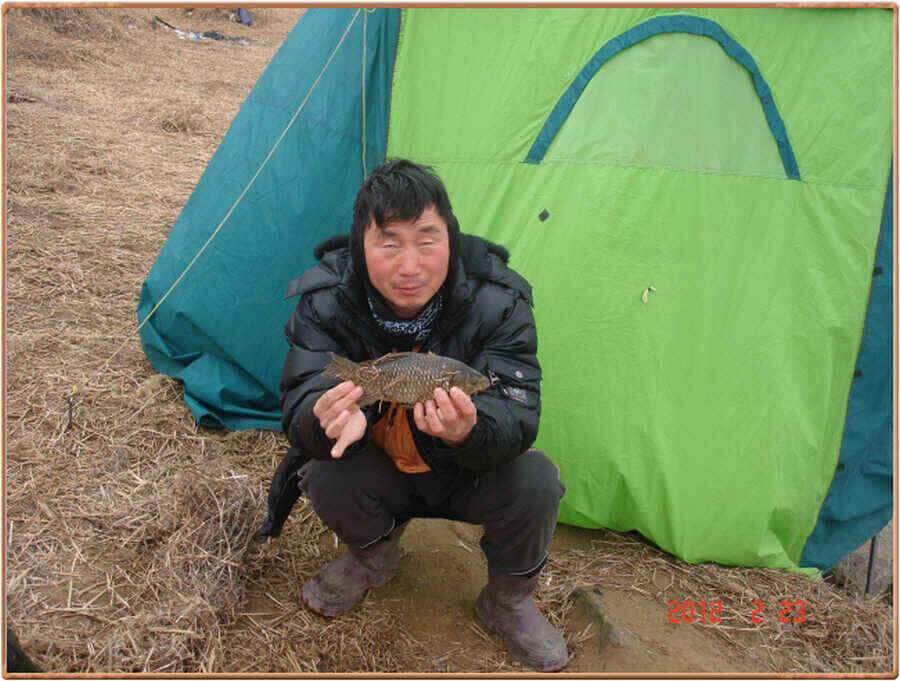 진위천백봉 소식 (조황조행기 - 낚시점조황)