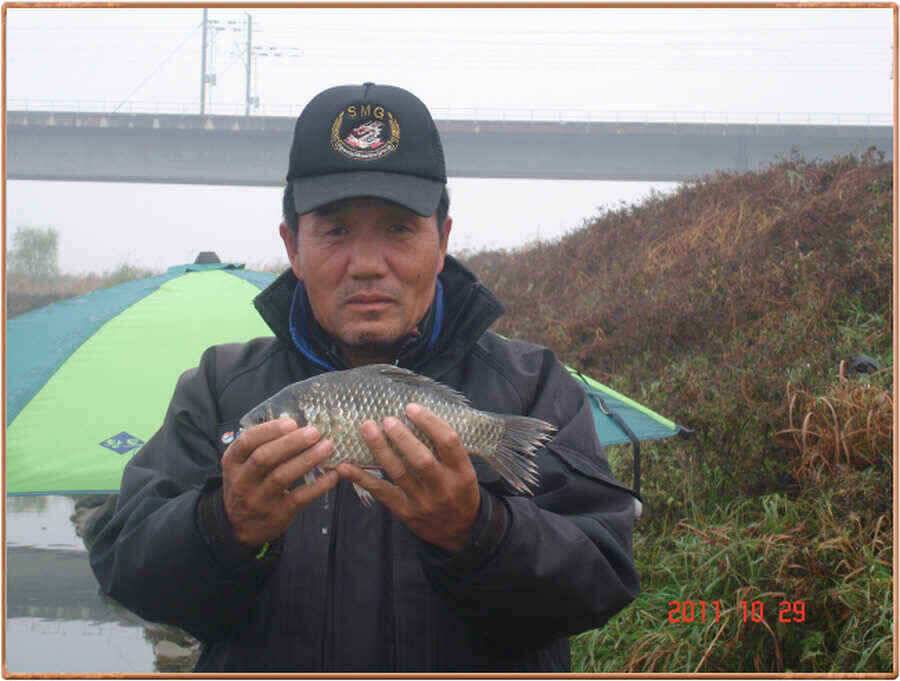 진위천의 가을 (조황조행기 - 낚시점조황)