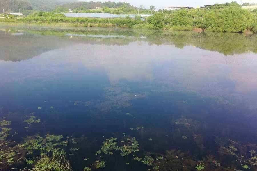 이제 슬슬 나옵니다 (조황조행기 - 낚시점조황)