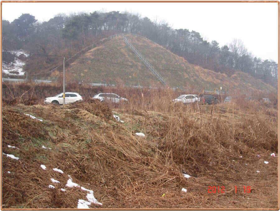 진위천 백봉권 대박입니다 (조황조행기 - 낚시점조황)
