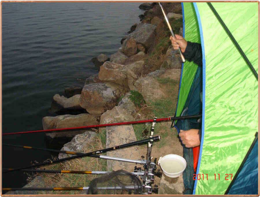 진위천 조황소식 (조황조행기 - 낚시점조황)