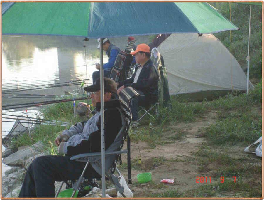 진위천 붕어 조황 부진 장어는 대박 (조황조행기 - 낚시점조황)