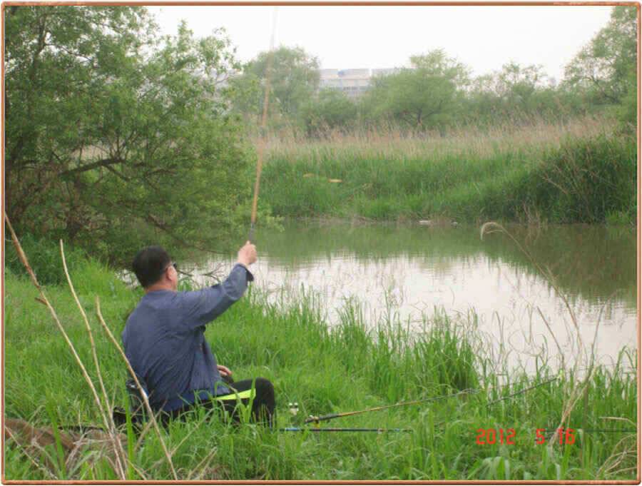 진위천 조황소식 (조황조행기 - 낚시점조황)