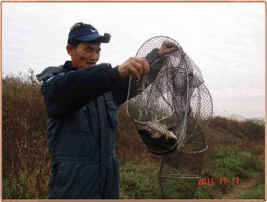 진위천 동청리 백봉권소식 (조황조행기 - 낚시점조황)