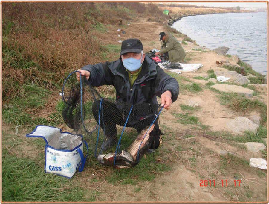 진위천 동청리 백봉권소식 (조황조행기 - 낚시점조황)