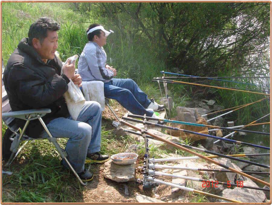진위천 조황소식 (조황조행기 - 낚시점조황)