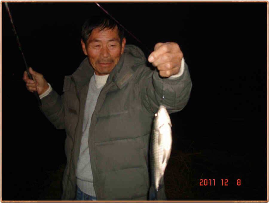 진위천의 조황소식 (조황조행기 - 낚시점조황)