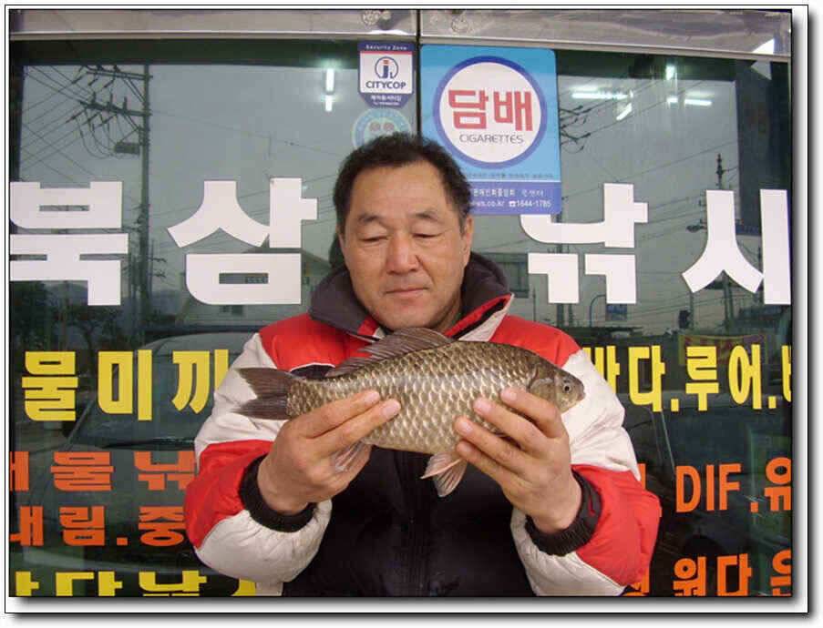 칠곡성주권 조황및 분석 (조황조행기 - 낚시점조황)