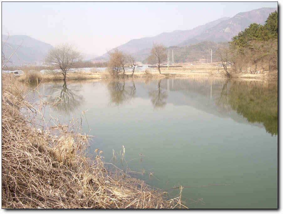 칠곡성주권 조황및 분석 (조황조행기 - 낚시점조황)