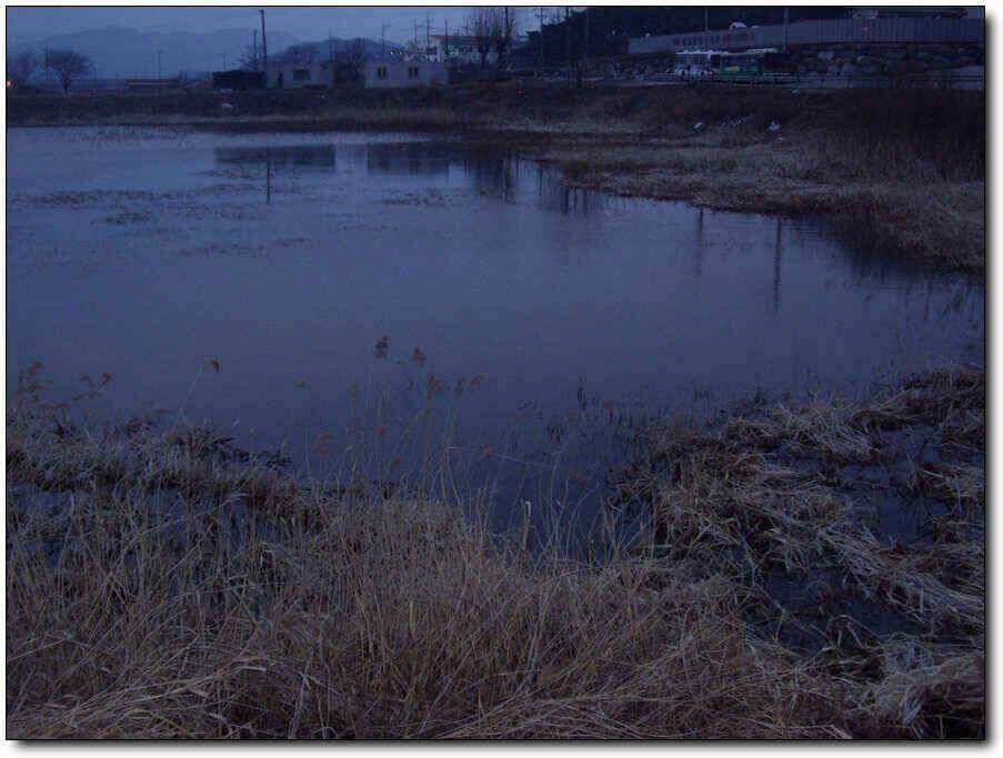 칠곡성주권 조황및 분석 (조황조행기 - 낚시점조황)