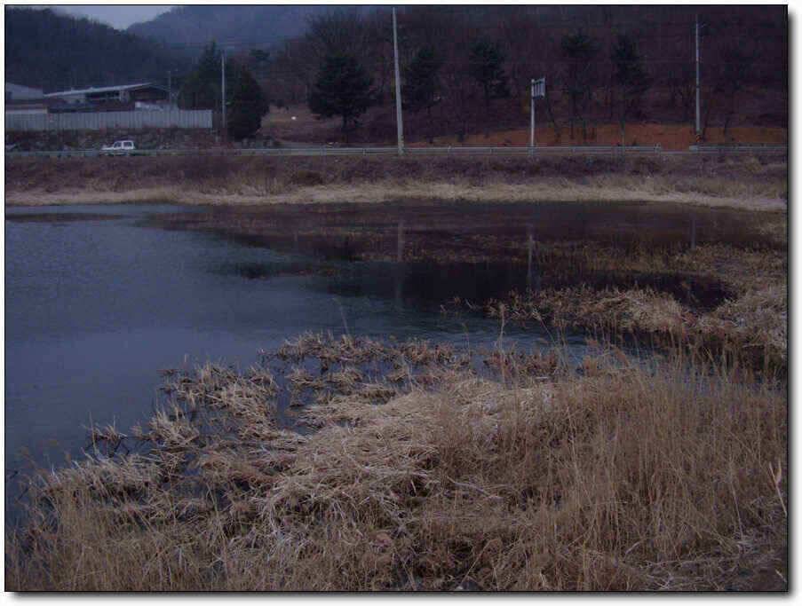 칠곡성주권 조황및 분석 (조황조행기 - 낚시점조황)