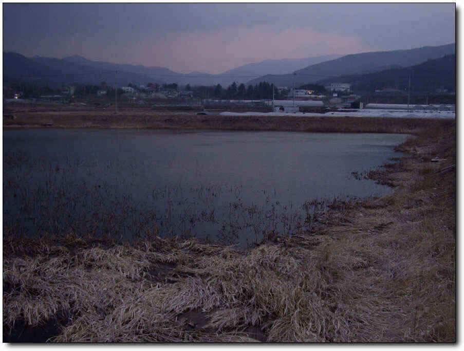 칠곡성주권 조황및 분석 (조황조행기 - 낚시점조황)