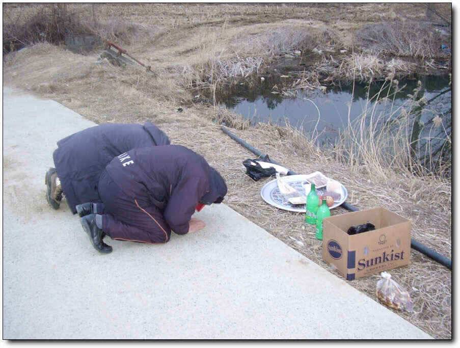 칠곡성주권 조황및 분석 (조황조행기 - 낚시점조황)