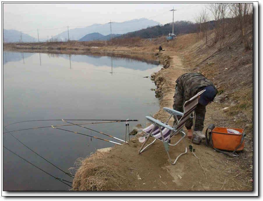 칠곡성주권 조황및 분석 (조황조행기 - 낚시점조황)