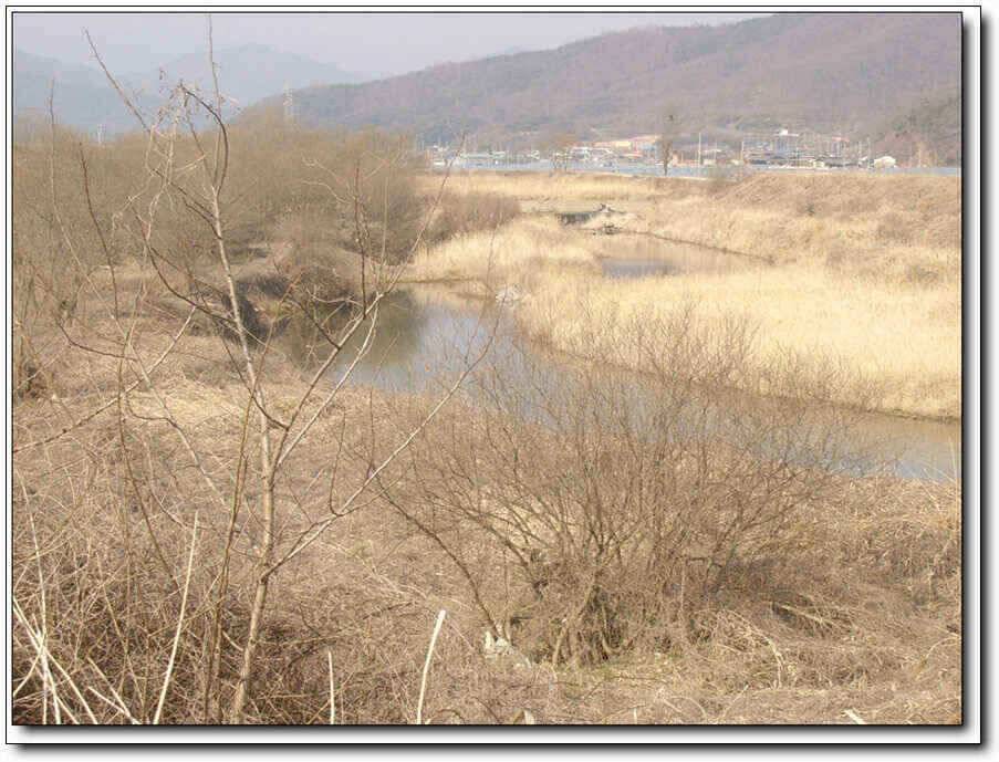 칠곡성주권4짜와 함께 출발 (조황조행기 - 낚시점조황)