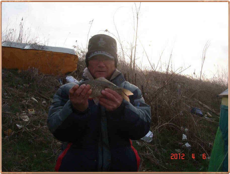진위천 조황소식 (조황조행기 - 낚시점조황)