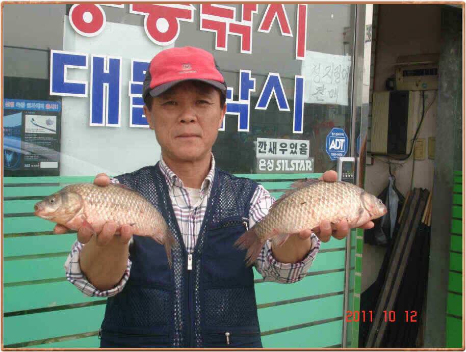 진위천과 백봉 조황소식 (조황조행기 - 낚시점조황)