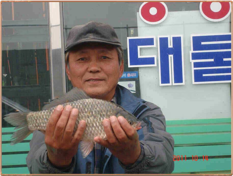 진위천과 백봉 조황소식 (조황조행기 - 낚시점조황)