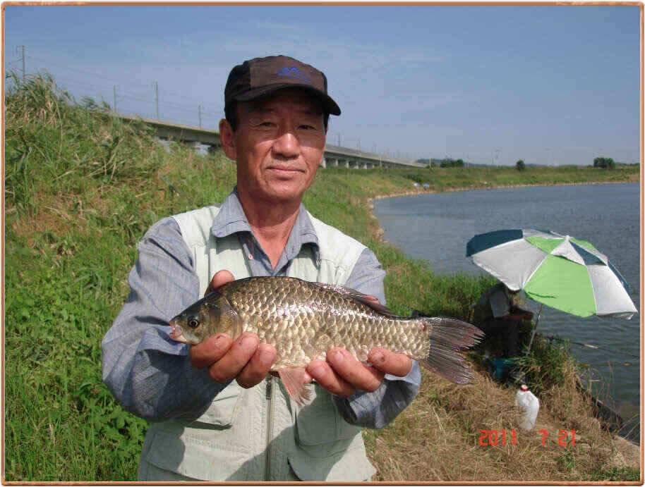 진위천 산란철보다 더 조황 좋아요 (조황조행기 - 낚시점조황)