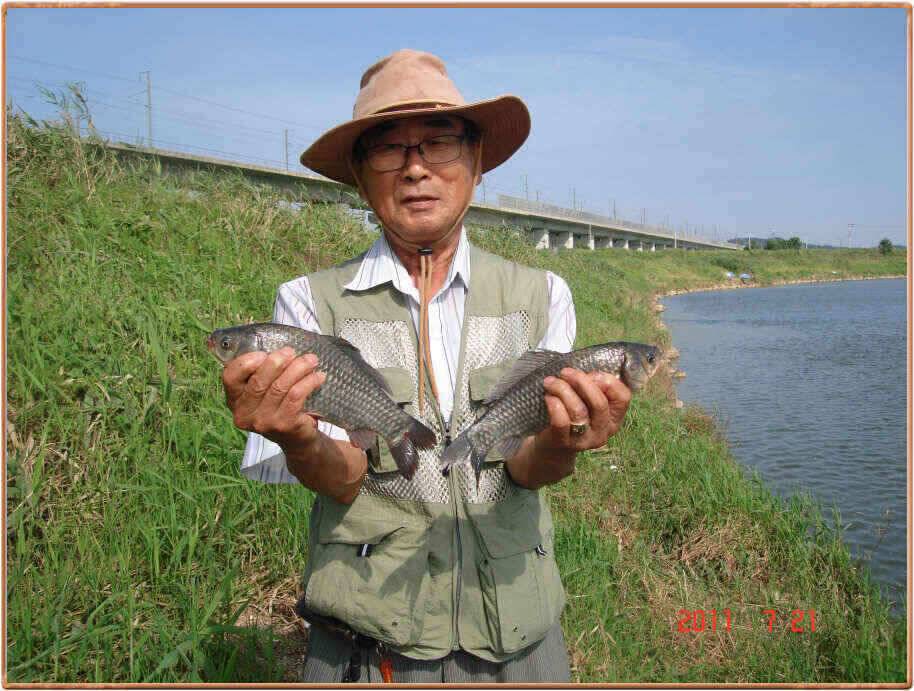 진위천 산란철보다 더 조황 좋아요 (조황조행기 - 낚시점조황)