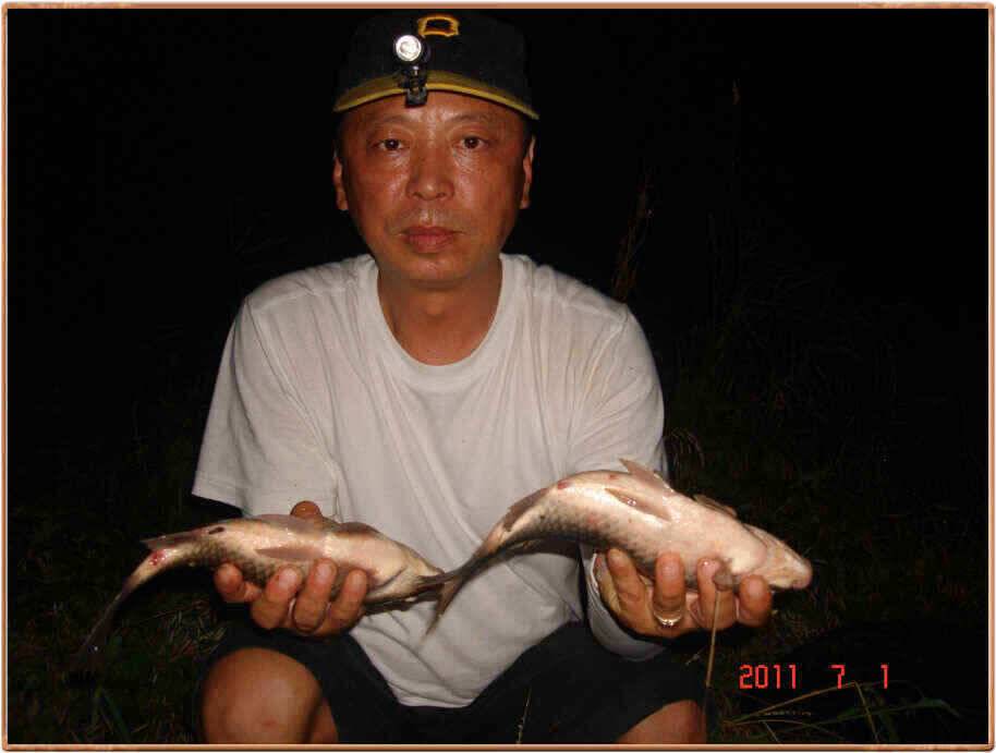 진위천 우중 찌올림에 매료 (조황조행기 - 낚시점조황)