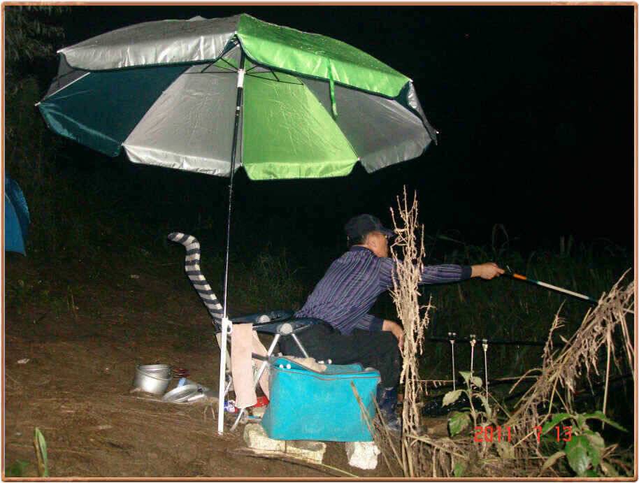 진위천 조황소식 (조황조행기 - 낚시점조황)